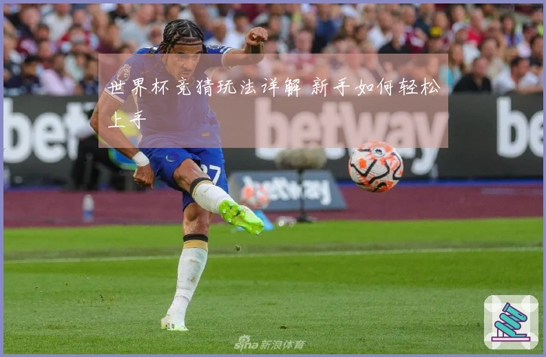 世界杯竞猜玩法详解 新手如何轻松上手