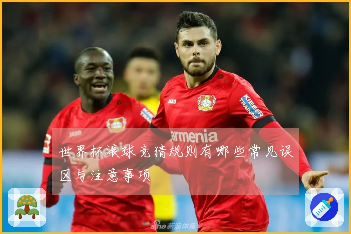 世界杯滚球竞猜规则有哪些常见误区与注意事项