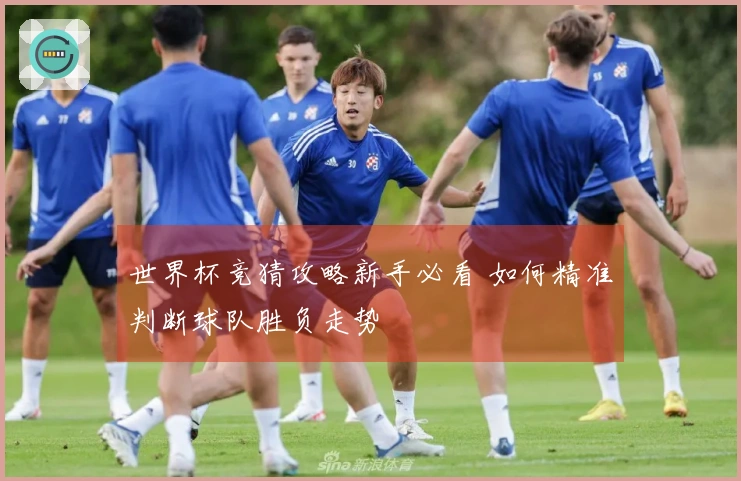 世界杯竞猜攻略新手必看 如何精准判断球队胜负走势
