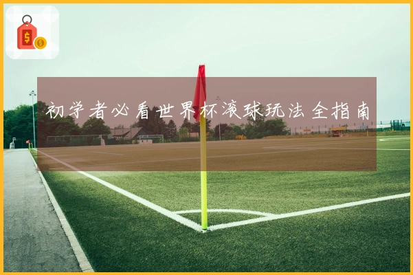 初学者必看世界杯滚球玩法全指南