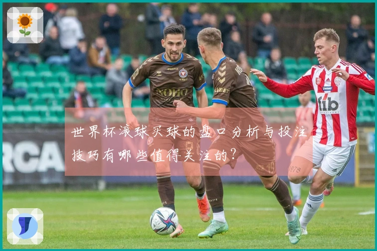 世界杯滚球买球的盘口分析与投注技巧有哪些值得关注的？