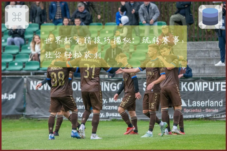 世界杯竞猜技巧揭秘：玩转赛事，让你轻松获利