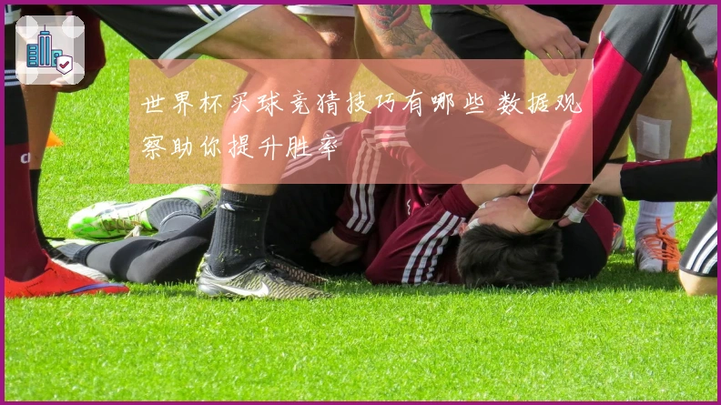 世界杯买球竞猜技巧有哪些 数据观察助你提升胜率