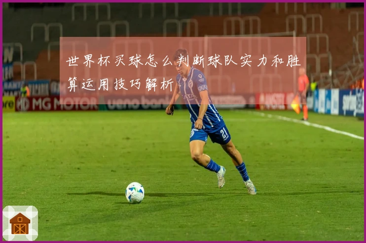 世界杯买球怎么判断球队实力和胜算运用技巧解析