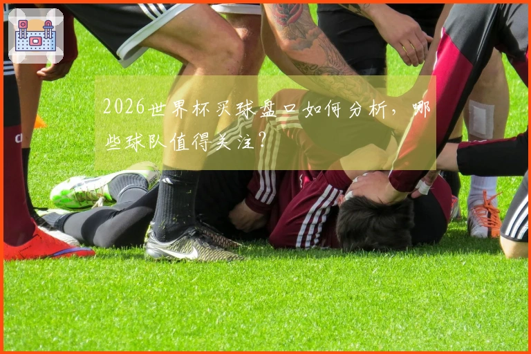 2026世界杯买球盘口如何分析，哪些球队值得关注？