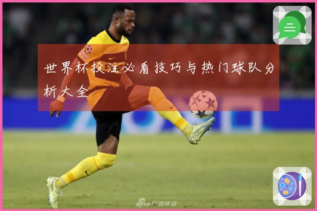 世界杯投注必看技巧与热门球队分析大全