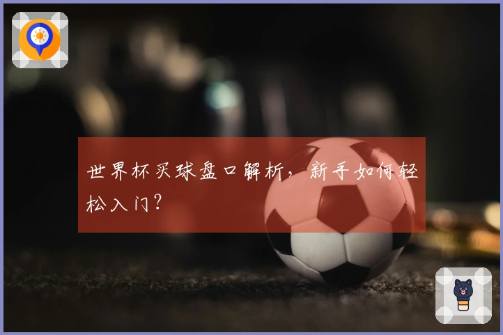 世界杯买球盘口解析，新手如何轻松入门？