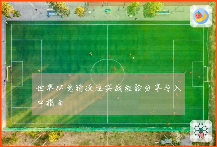 世界杯竞猜投注实战经验分享与入口指南
