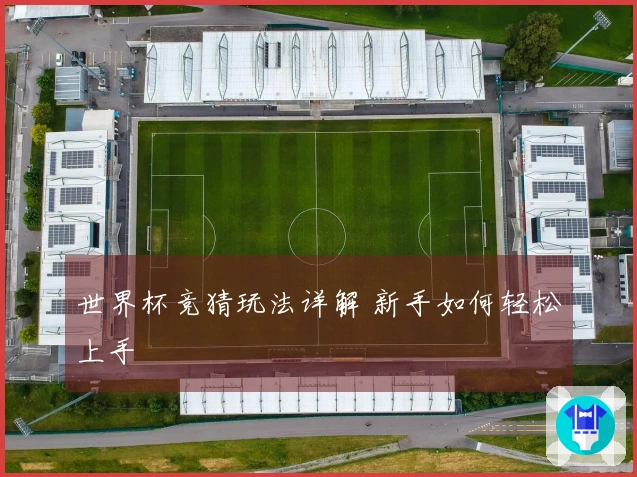 世界杯竞猜玩法详解 新手如何轻松上手