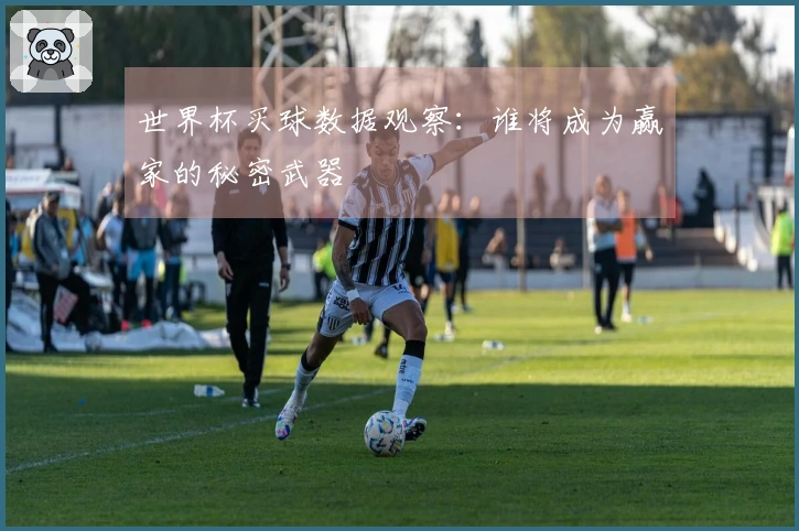 世界杯买球数据观察：谁将成为赢家的秘密武器