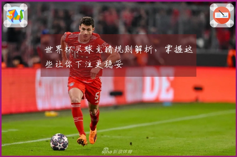 世界杯买球竞猜规则解析，掌握这些让你下注更稳妥