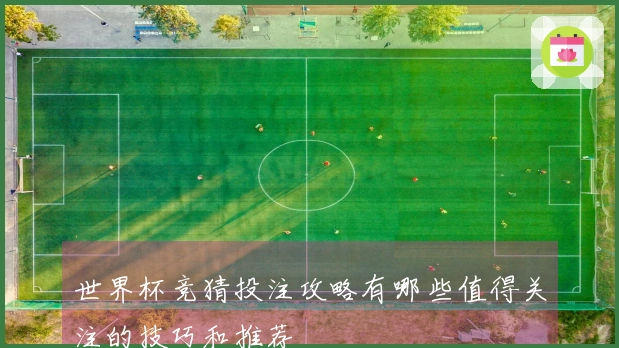 世界杯竞猜投注攻略有哪些值得关注的技巧和推荐