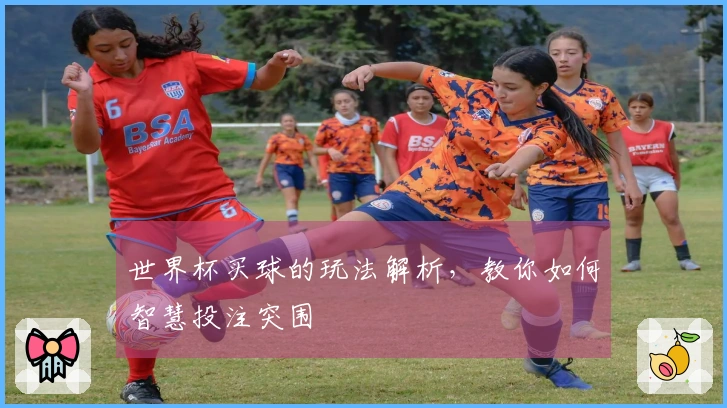 世界杯买球的玩法解析，教你如何智慧投注突围
