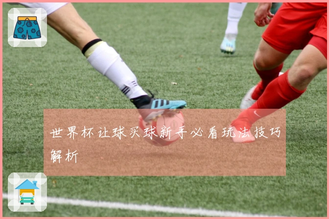世界杯让球买球新手必看玩法技巧解析