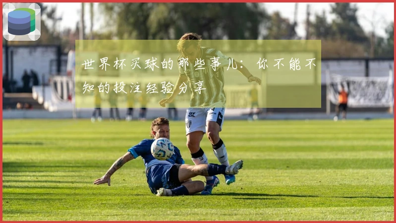 世界杯买球的那些事儿：你不能不知的投注经验分享