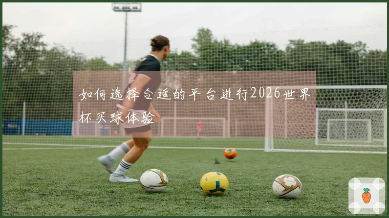 如何选择合适的平台进行2026世界杯买球体验