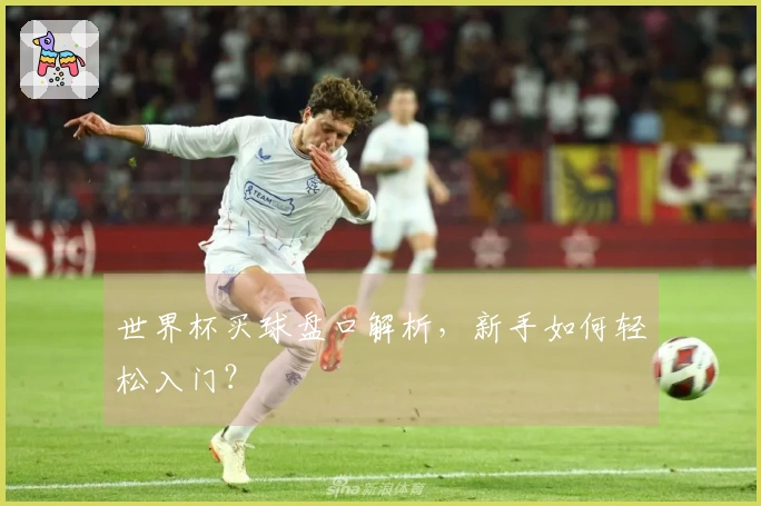 世界杯买球盘口解析，新手如何轻松入门？