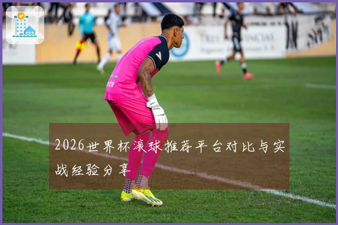 2026世界杯滚球推荐平台对比与实战经验分享
