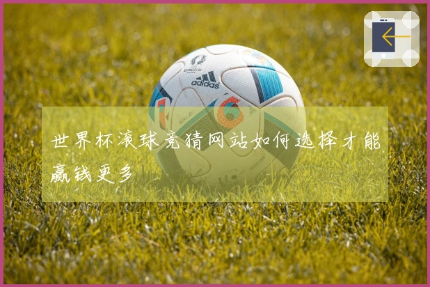 世界杯滚球竞猜网站如何选择才能赢钱更多