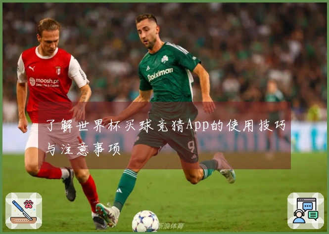 了解世界杯买球竞猜App的使用技巧与注意事项