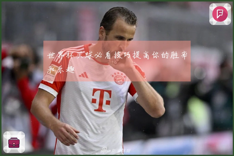 世界杯买球必看技巧提高你的胜率和乐趣