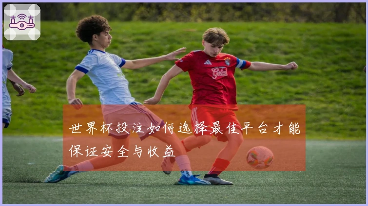 世界杯投注如何选择最佳平台才能保证安全与收益