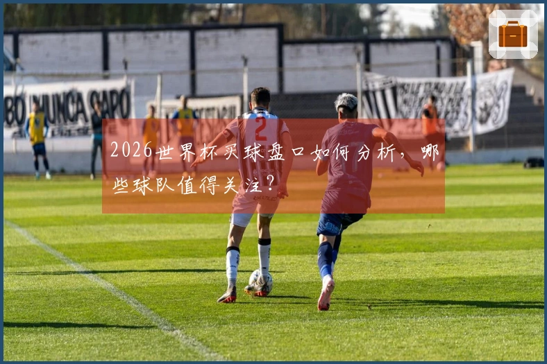 2026世界杯买球盘口如何分析，哪些球队值得关注？