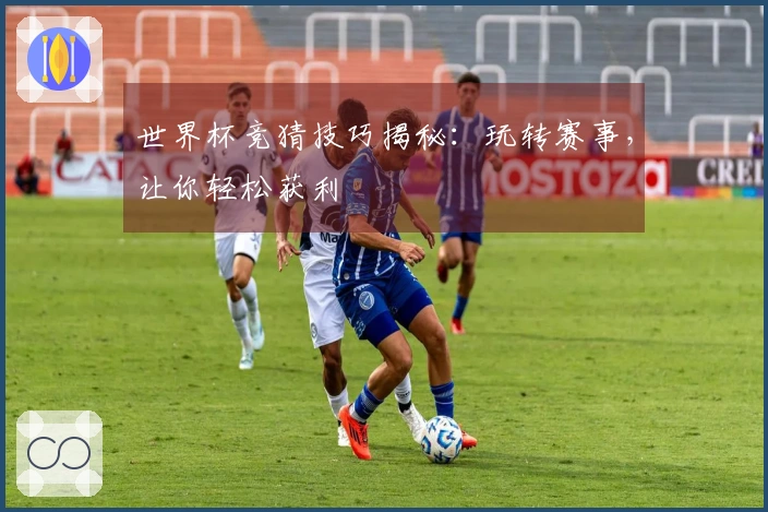 世界杯竞猜技巧揭秘：玩转赛事，让你轻松获利